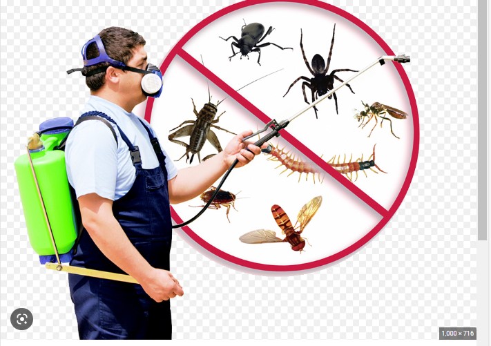 pest control supplies